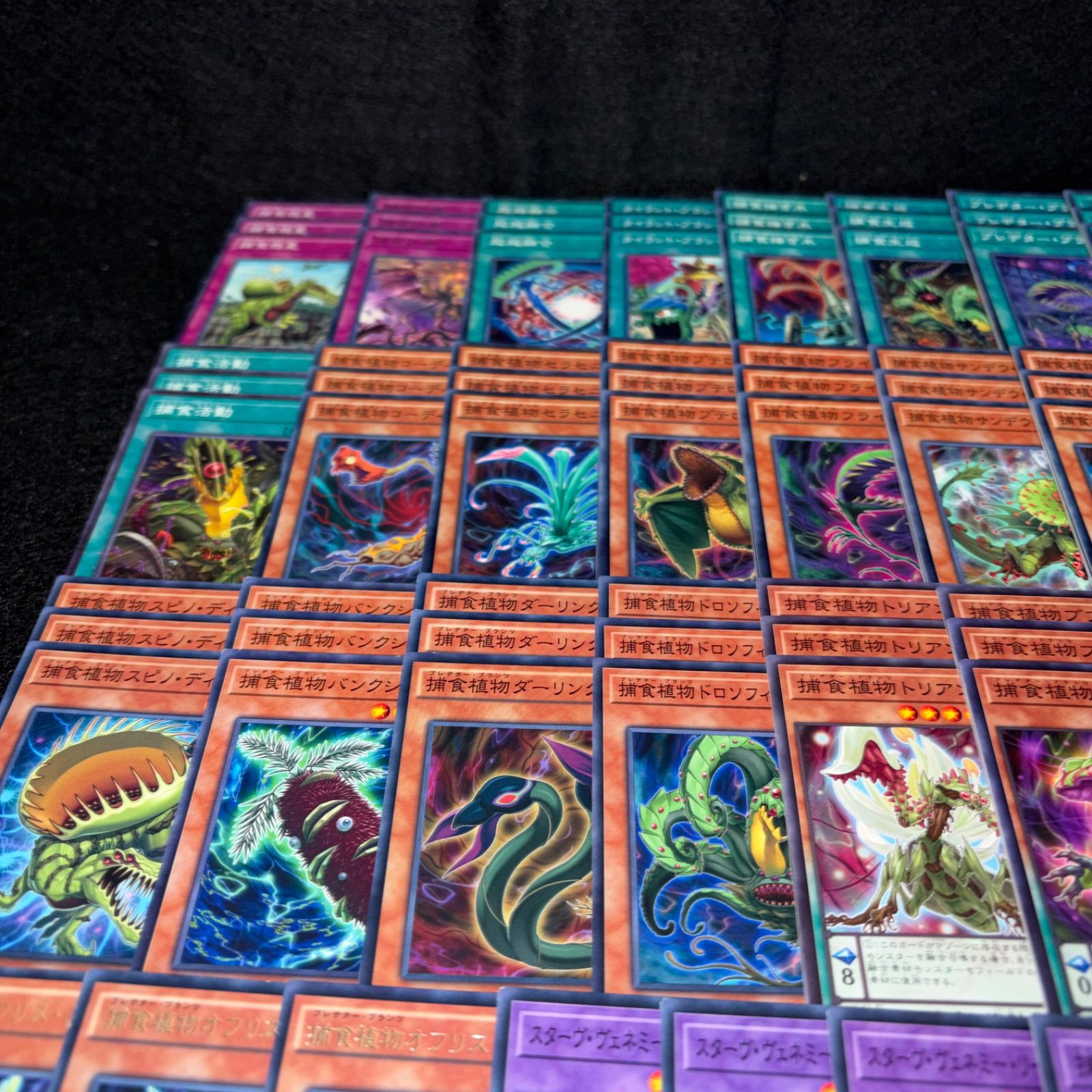 No.PP305 遊戯王 捕食植物 プレデタープランツ デッキパーツ スターヴ