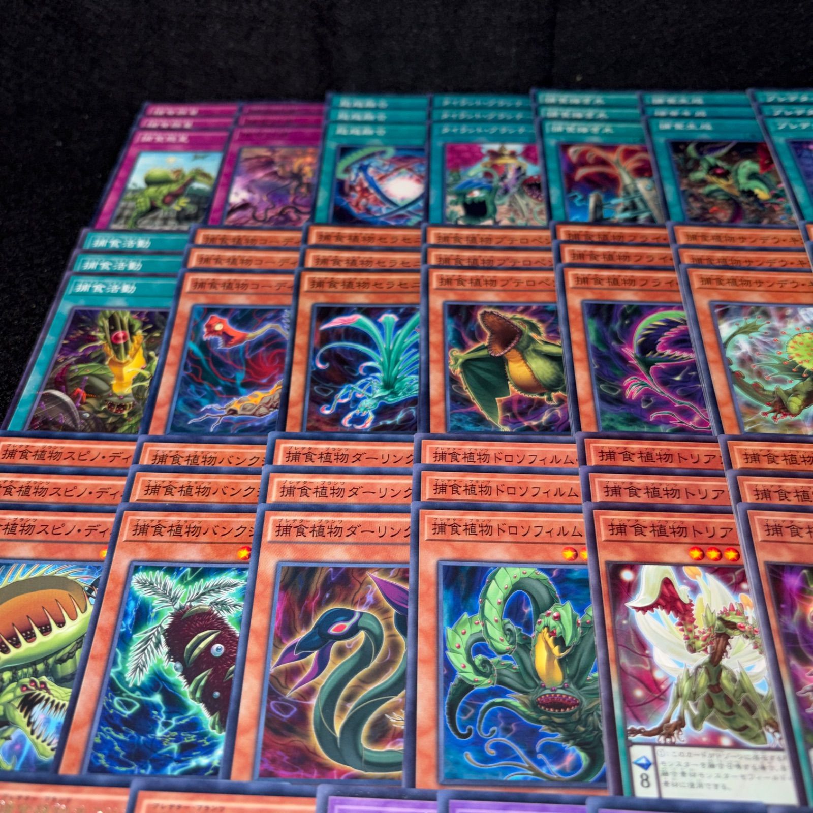 No.PP306 遊戯王 捕食植物 プレデタープランツ デッキパーツ スターヴ