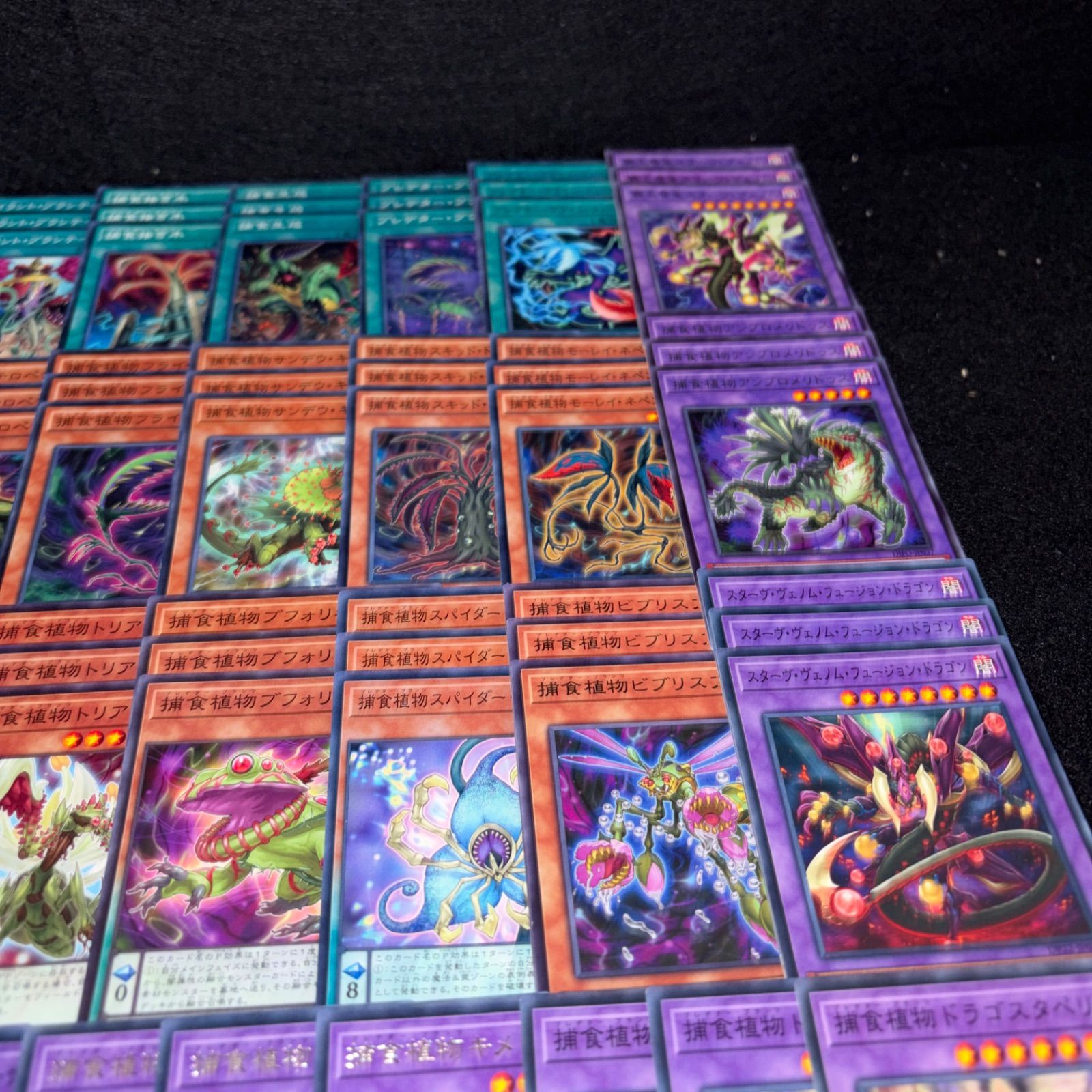 No.PP306 遊戯王 捕食植物 プレデタープランツ デッキパーツ スターヴ