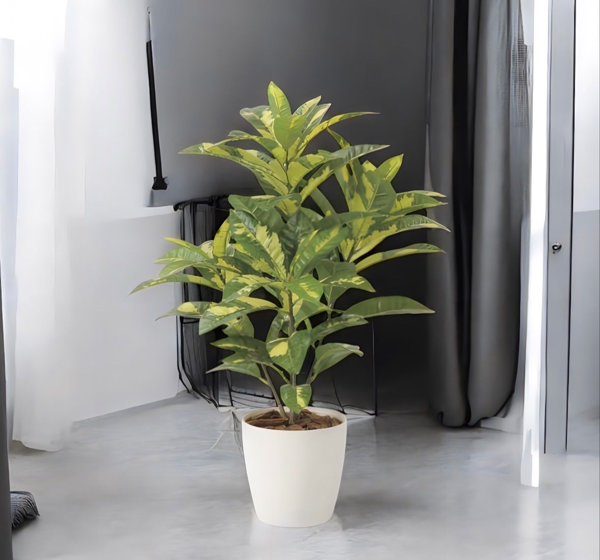 光触媒　人工観葉植物　ウォールグリーン　フェイクグリーン　クロトン一点もの 光触媒 人工観葉植物 ウォールグリーン フェイクグリーン クロトン一点