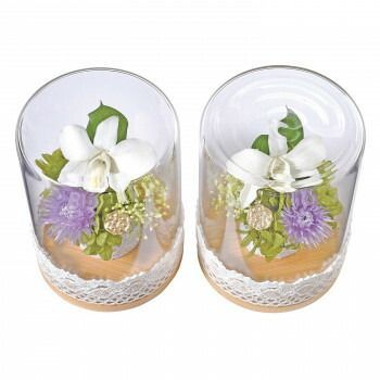 蒼天ボトルフラワー 対入 デンファーレ ホワイト 57 n 7008 g 00002