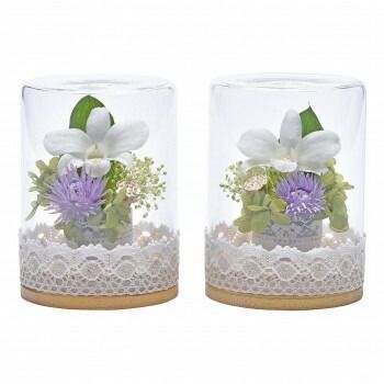 蒼天ボトルフラワー 対入 デンファーレ ホワイト 57 n 7008 g 00002