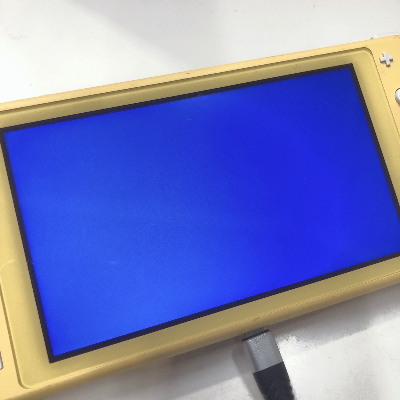  Nintendo SWITCH Lite 本体のみ 品 本体(Nintendo Switch Lite) Nintendo Switch