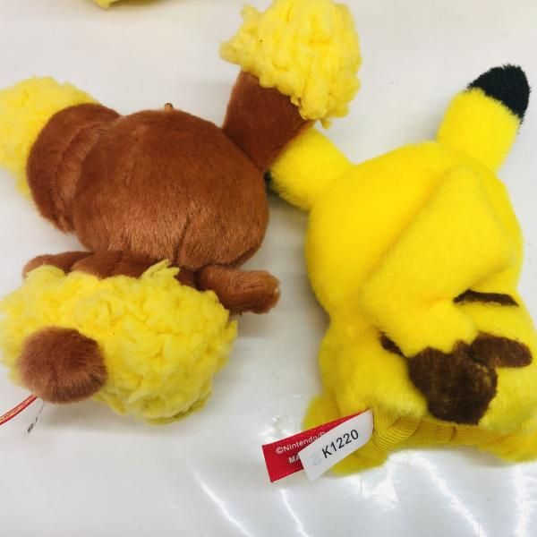 ヒバニー ピカチュウ