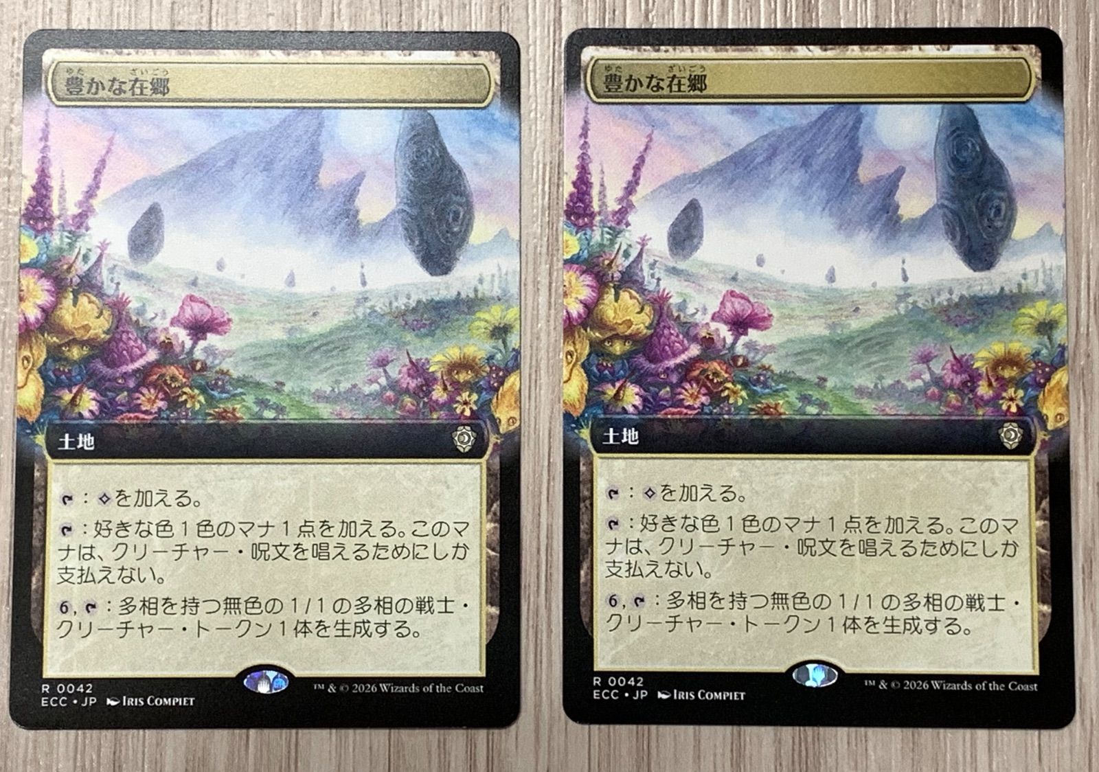 マジック・ザ・ギャザリング 豊かな在郷 R 0042 ECC 2枚セット - メルカリ