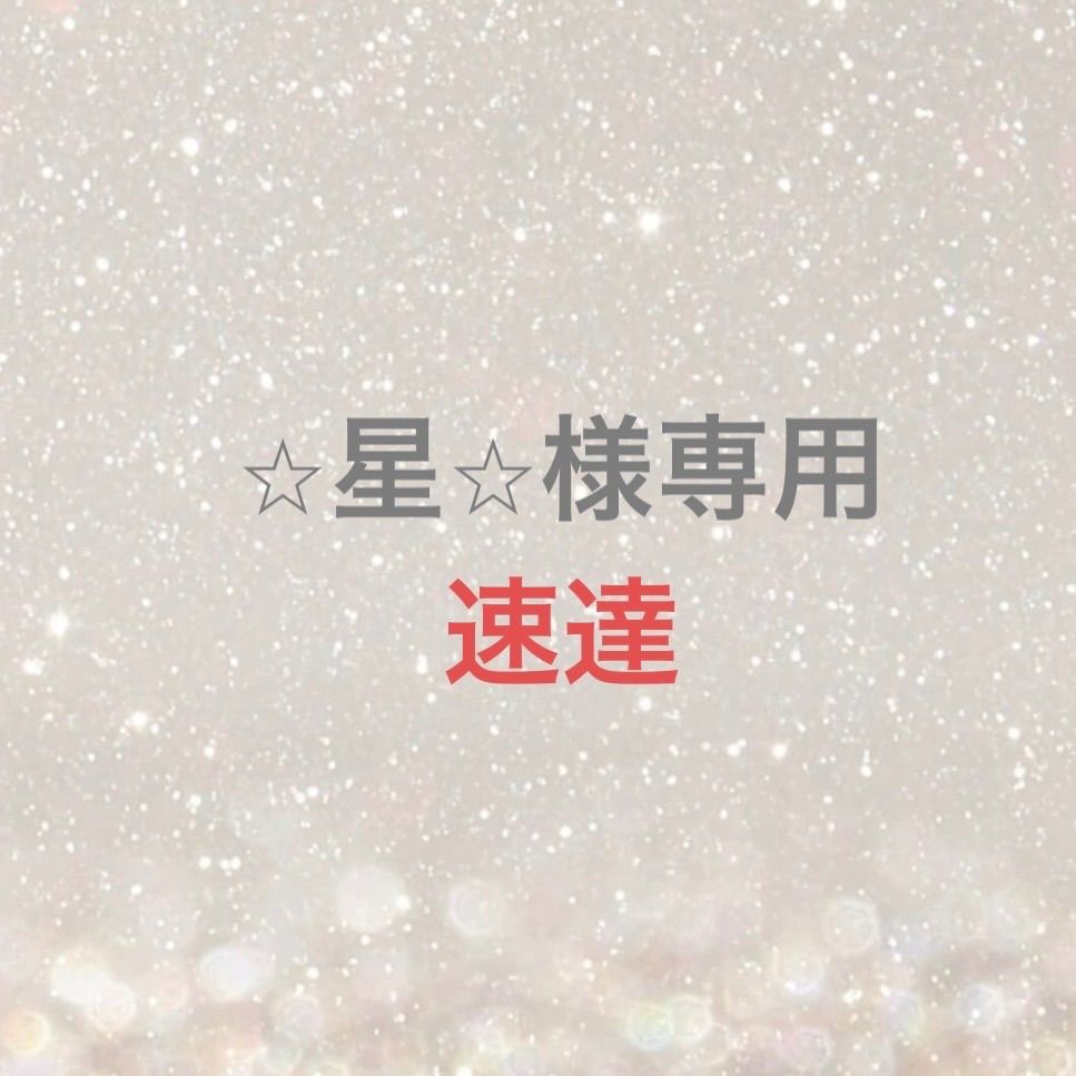⭐︎星⭐︎様専用 - メルカリ