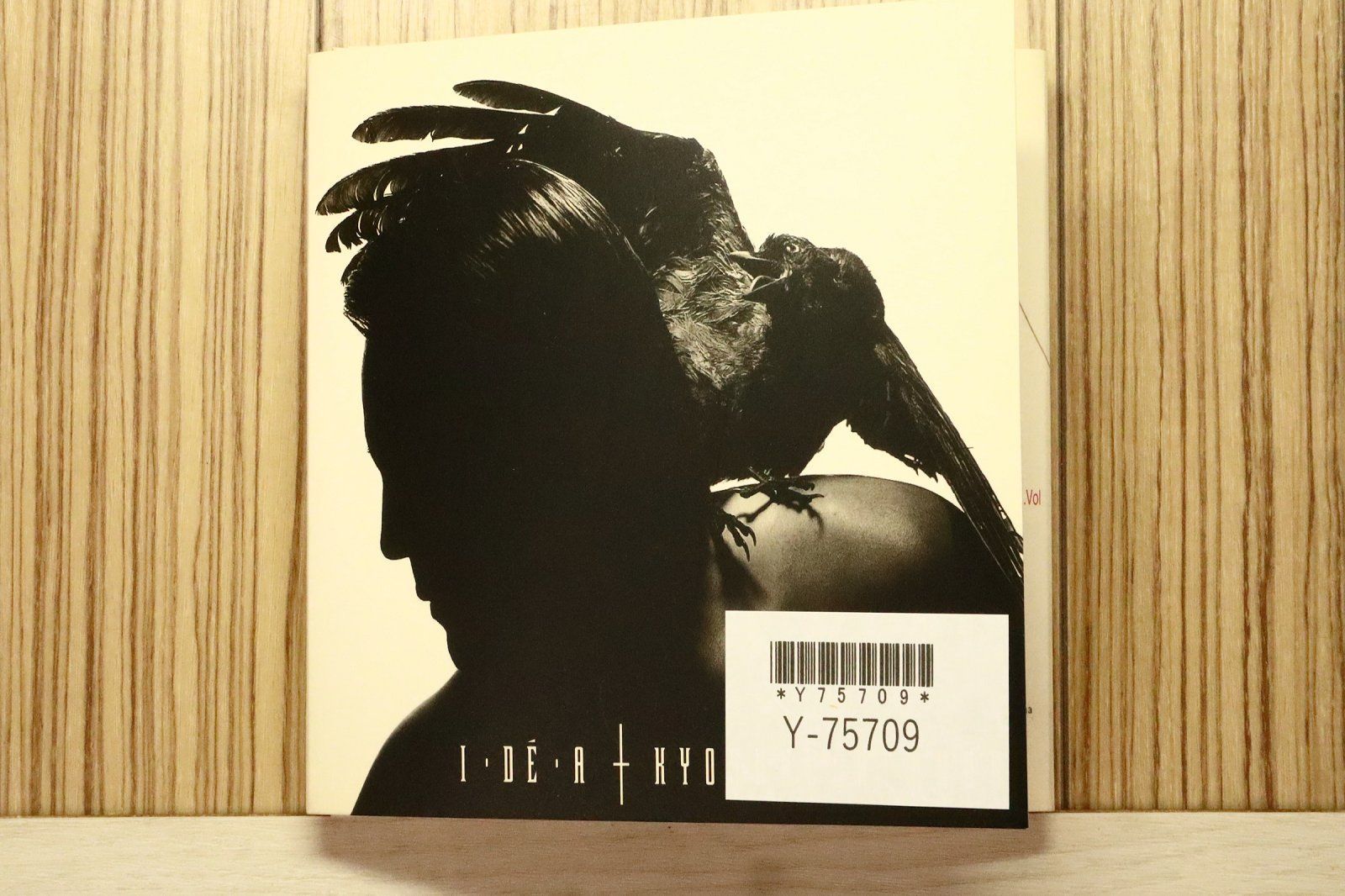 国内盤CD☆氷室京介/Kyosuke Himuro□ IDEA - 氷室京介 【POCH1667