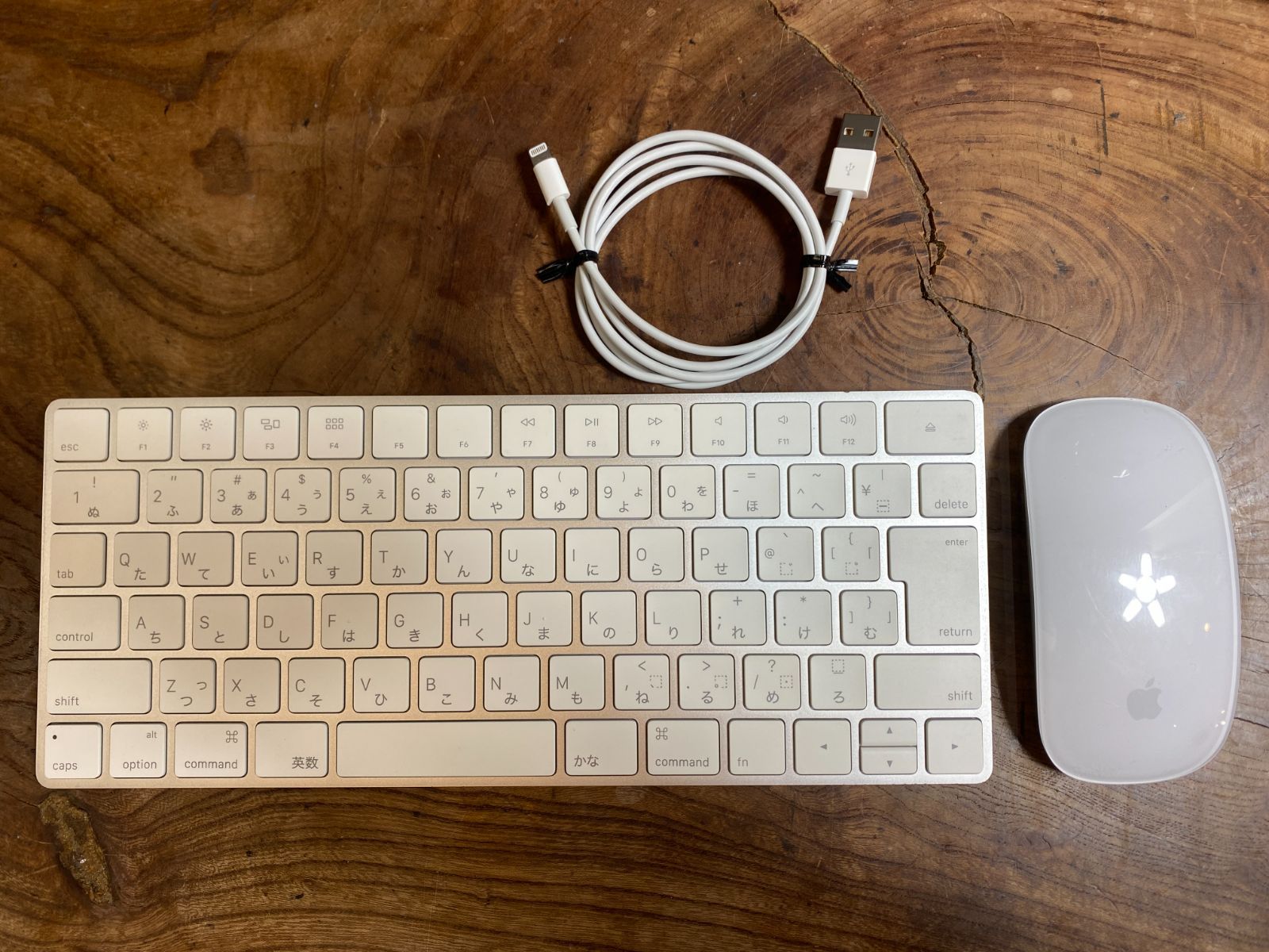 良品］Apple Mac Pro（Late 2013）/ Intel Xeon E5 / メモリ32GB / SSD