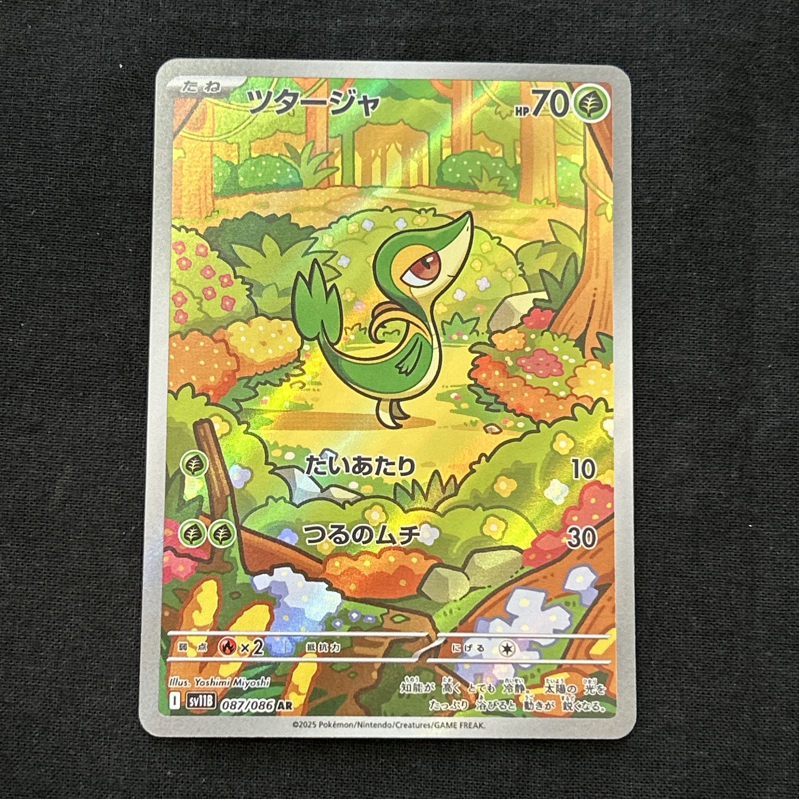 浜館56-1340] ポケモンカード ポケカ ツタージャ SV11B 087/086 AR 4枚