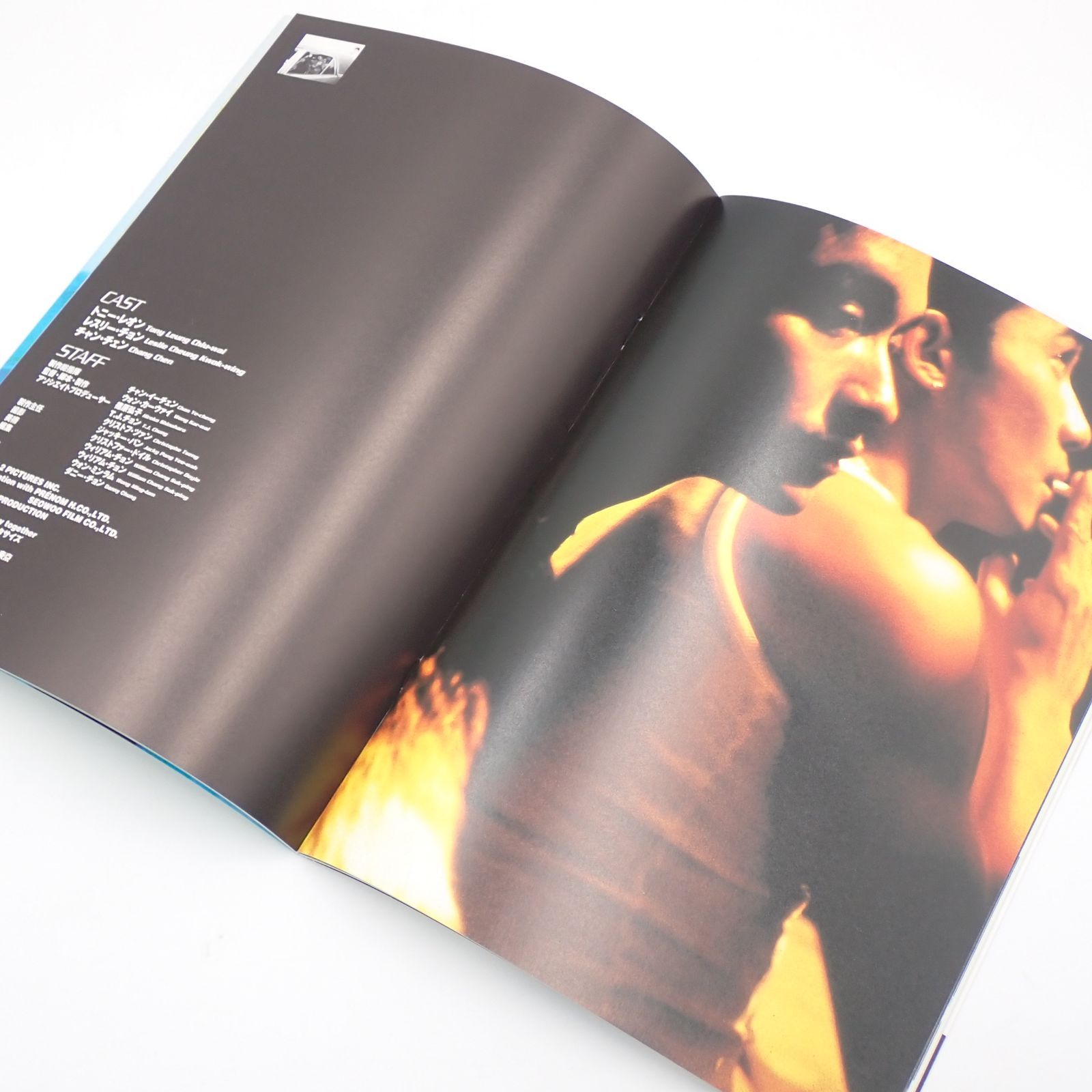 送料無料 ブエノスアイレス 春光乍洩 Happy Together ウォン