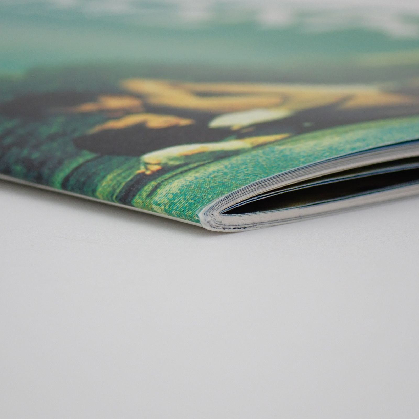 送料無料 ブエノスアイレス 春光乍洩 Happy Together ウォン