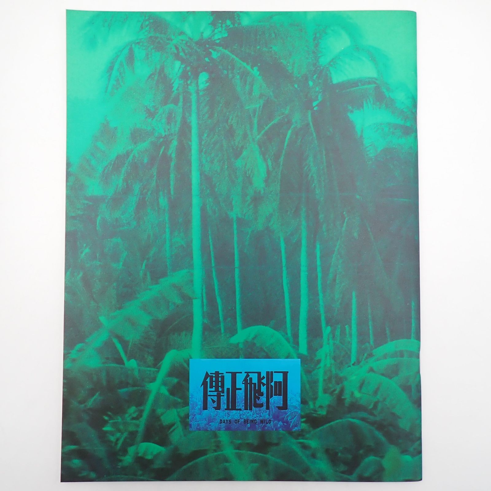 送料無料 欲望の翼 ウォン・カーウァイ監督作品 1990年 香港映画