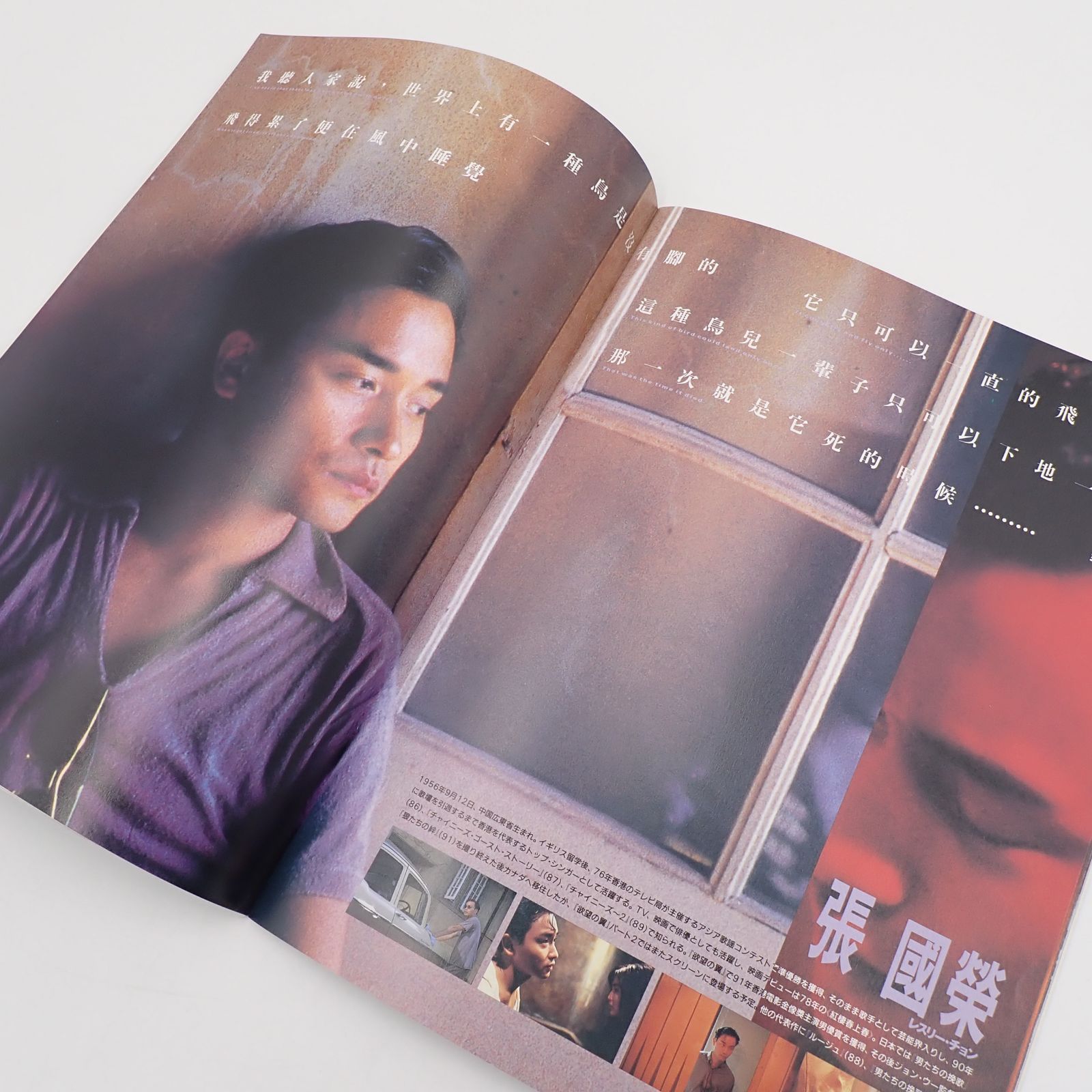 送料無料 欲望の翼 ウォン・カーウァイ監督作品 1990年 香港映画