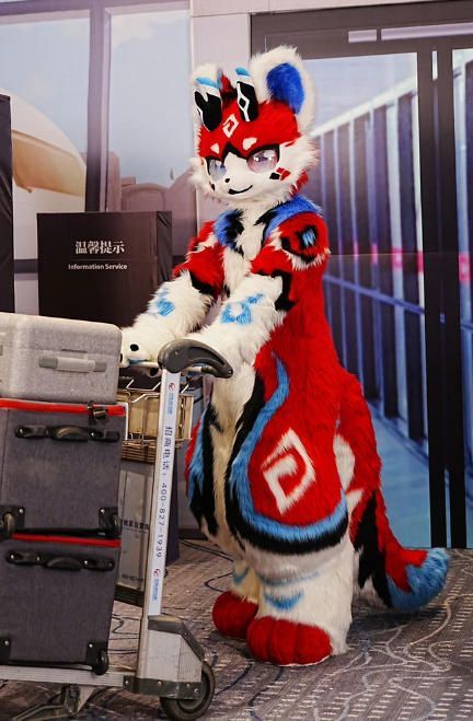 着ぐるみ ケモノ体 フルスーツ セット NO 83 犬 赤 青 全頭ヘッド ファースーツ ぬいぐるみ コスプレ コスチューム 一点物