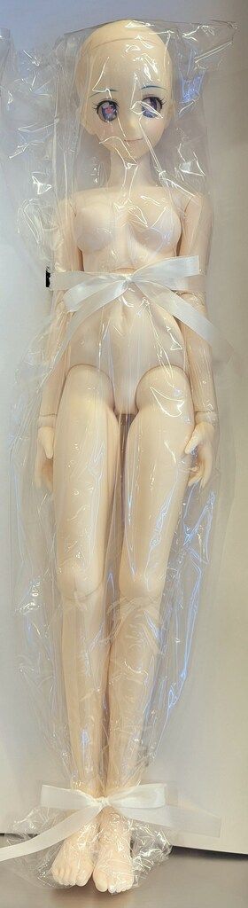 ボークス DD 天元突破グレンラガン ニア 超先行予約特典水着付 - メルカリ