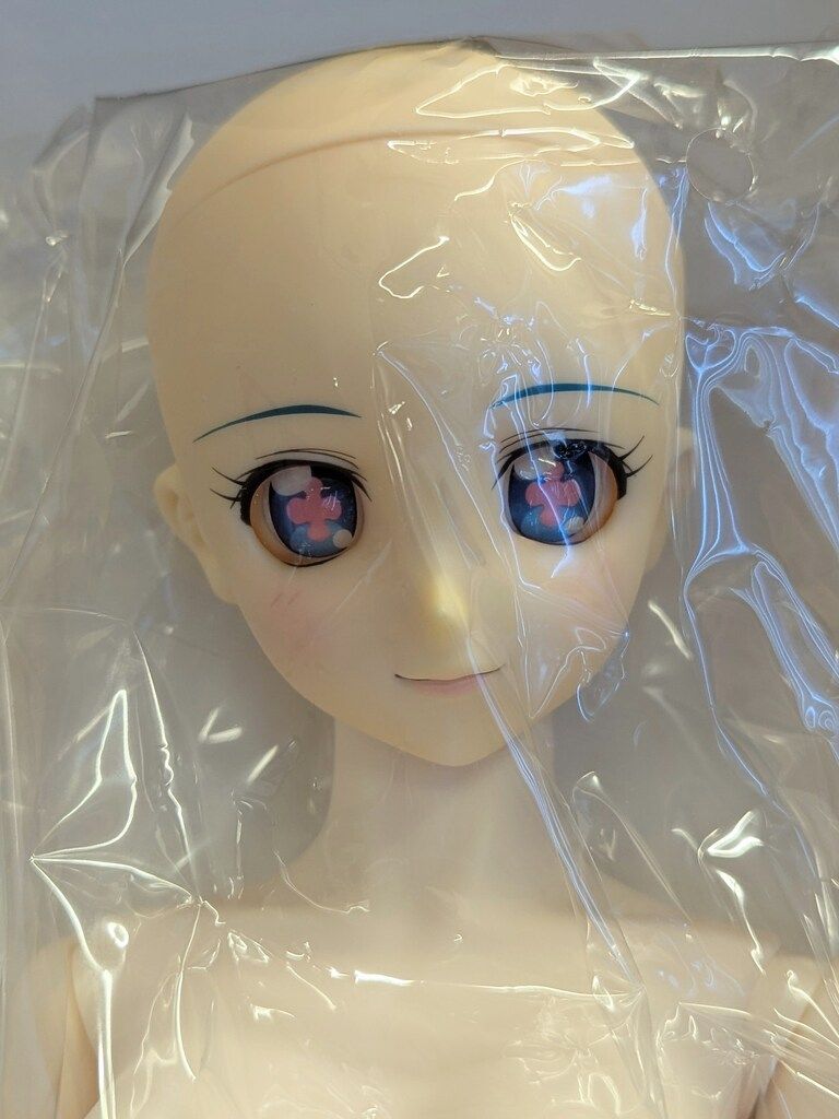 ボークス DD 天元突破グレンラガン ニア 超先行予約特典水着付 - メルカリ