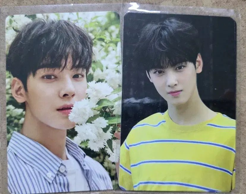 チャ ウヌ サマー トレカ まとめ売り