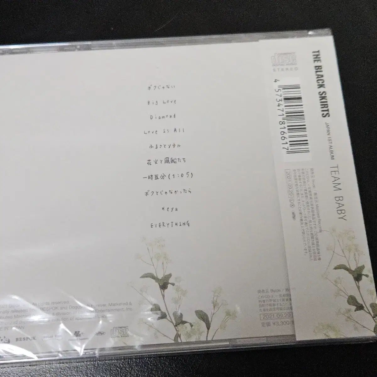  The Black Skirts コムジョンチマ 日本版 チーム ベイ BAE ジンソル ベイビー その他 タレントグッズ