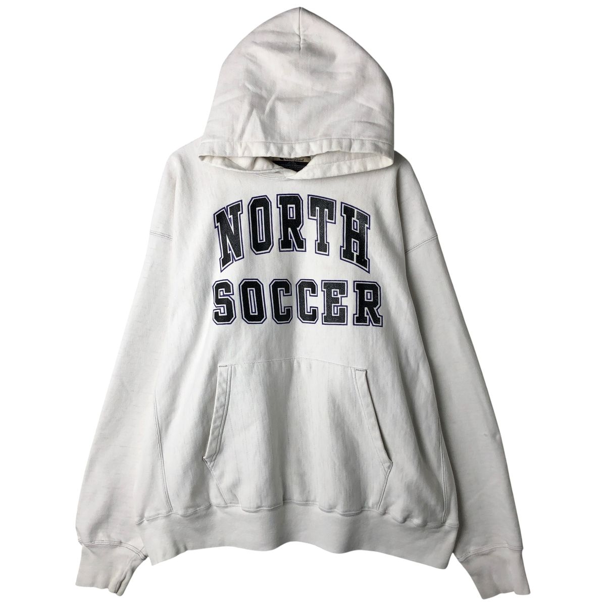 麻花龍] 発根済み (国内初入荷ロット) 最新