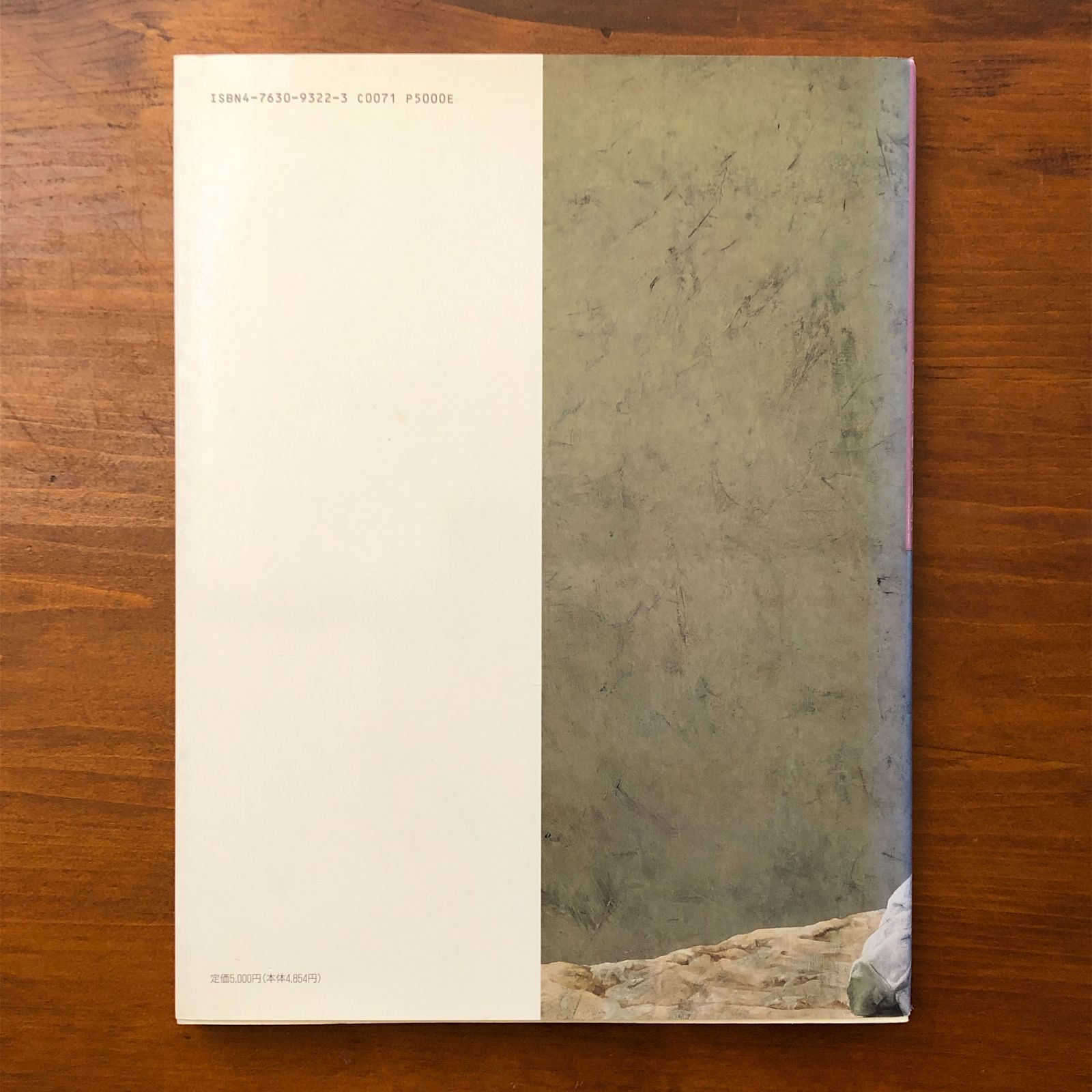 藤井勉画集 THE WORKS OF TSUTOMU FUJII 藤井勉 株式会社求龍堂 1993年