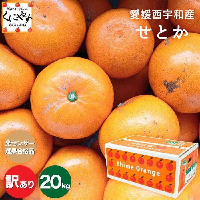 愛媛せとか 訳あり 20kg 糖度12.0以上 送料無料 - メルカリ