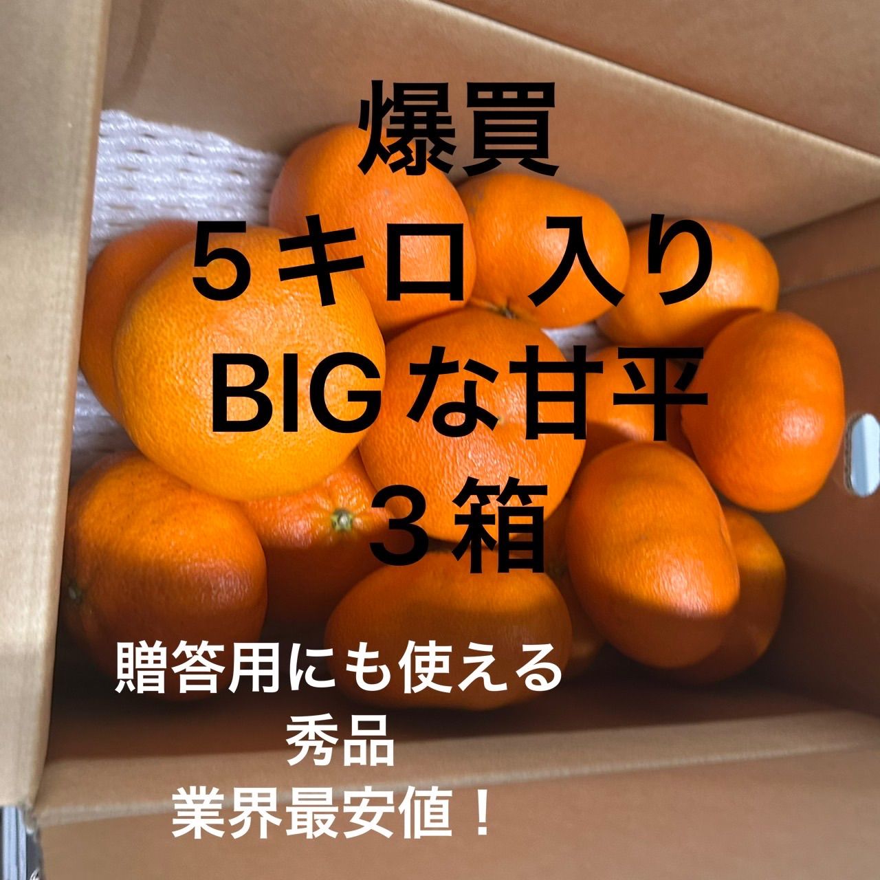 限定100⭐️BIG甘平3箱 5kg×3 新品 - メルカリ