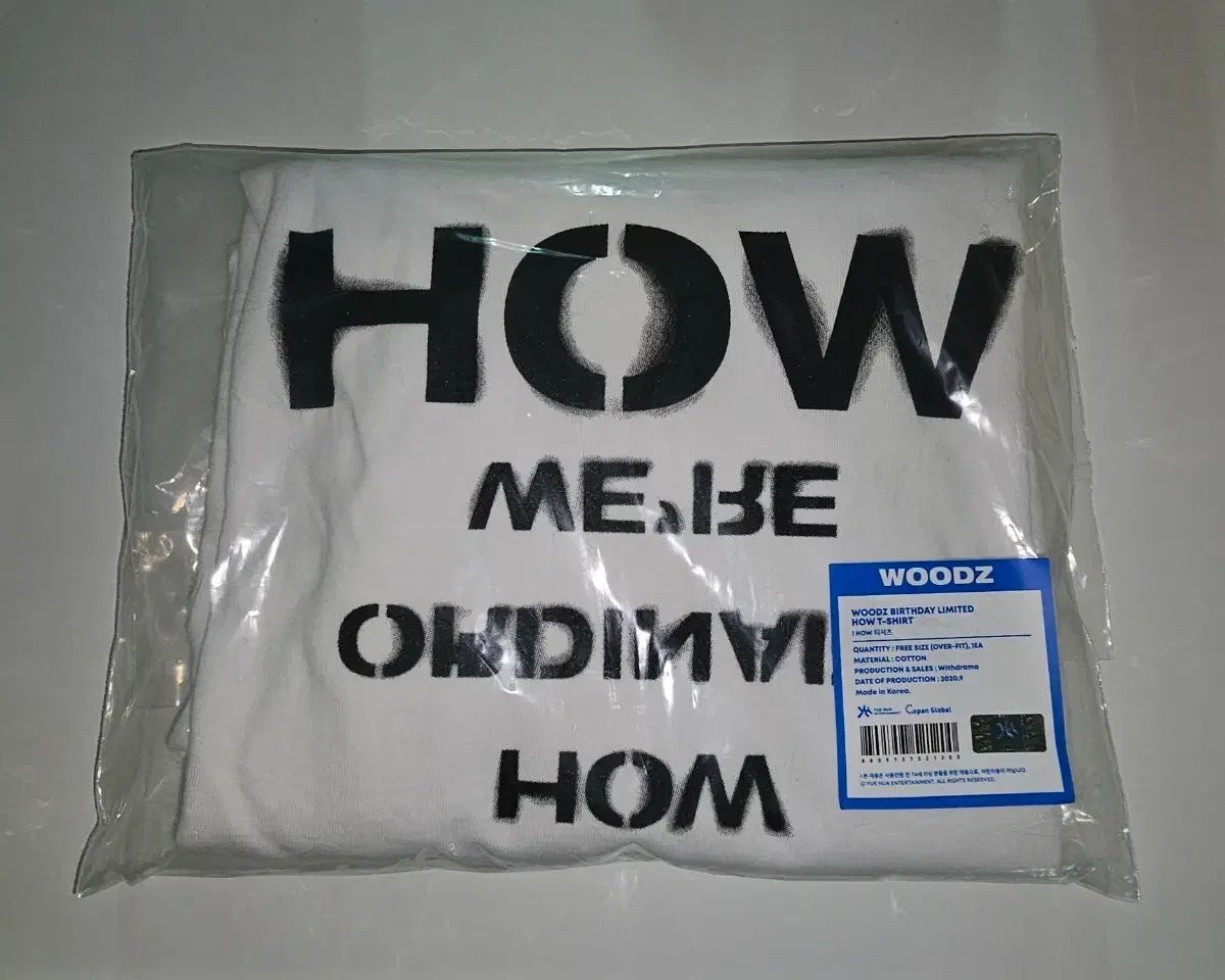 WOODZ ウッズ チョ スンヨン HOW ハウ Tシャツ グッズ