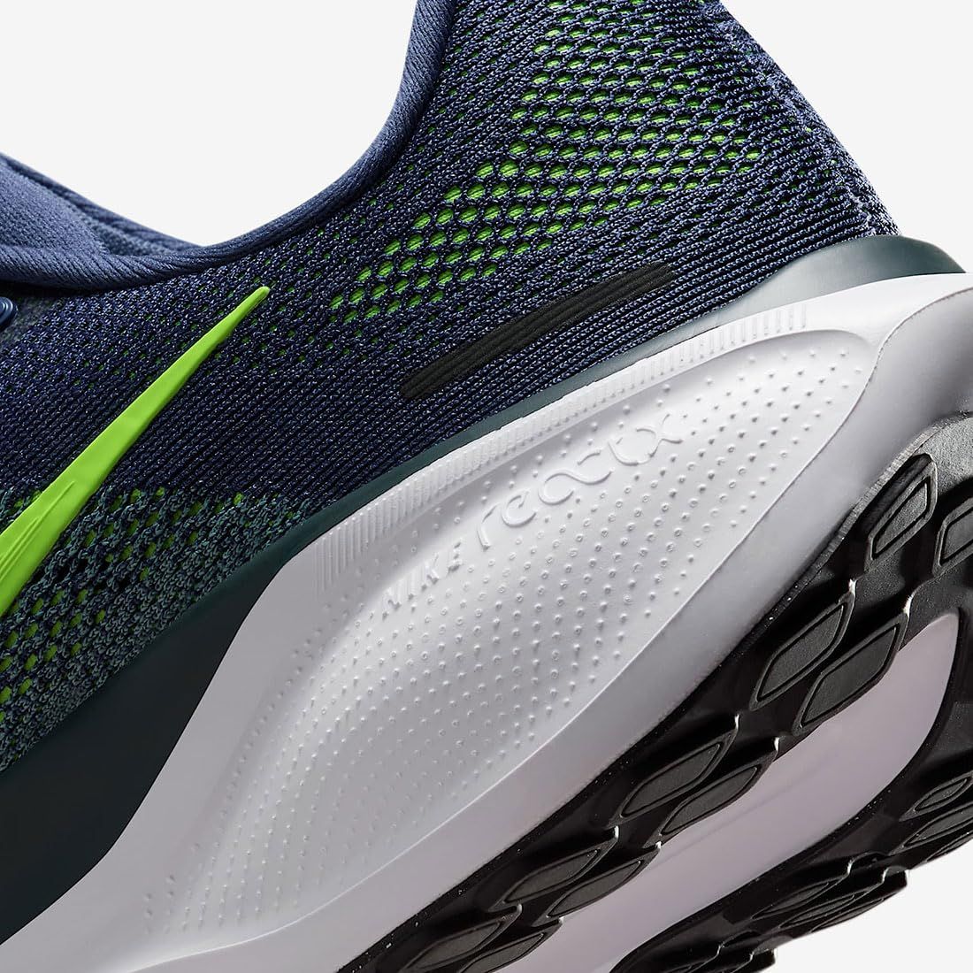 サンデッドパープル シーウィード