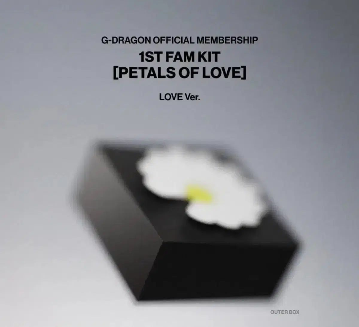 G-DRAGON ジードラゴン メンバーシップ 팸キット KIT love ver