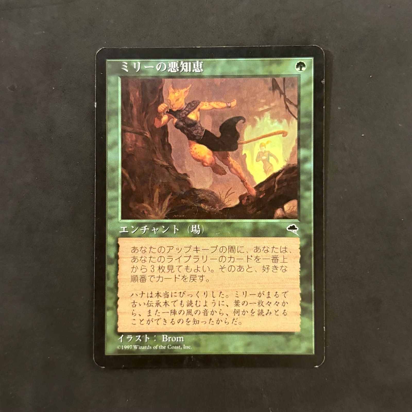 ロ*ロ様 【MTG】ミリーの悪知恵／適者生存／踏査（日本語・3枚セット・旧枠） ロ*ロ様 【MTG】ミリーの悪知恵／適者生存／踏査（日本語・3枚セット・