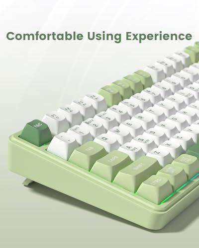  ゲーミングキーボード Womier DK 75 75％ ワイヤレスゲーミングキーボード RGBバックライト クリーミーキーボード 2.4 GHz|USB-C|BT 5.0 MACおよびWindows向け アンチゴースト ノーコンフリクト e 03568 9 その他 キッチン 食器