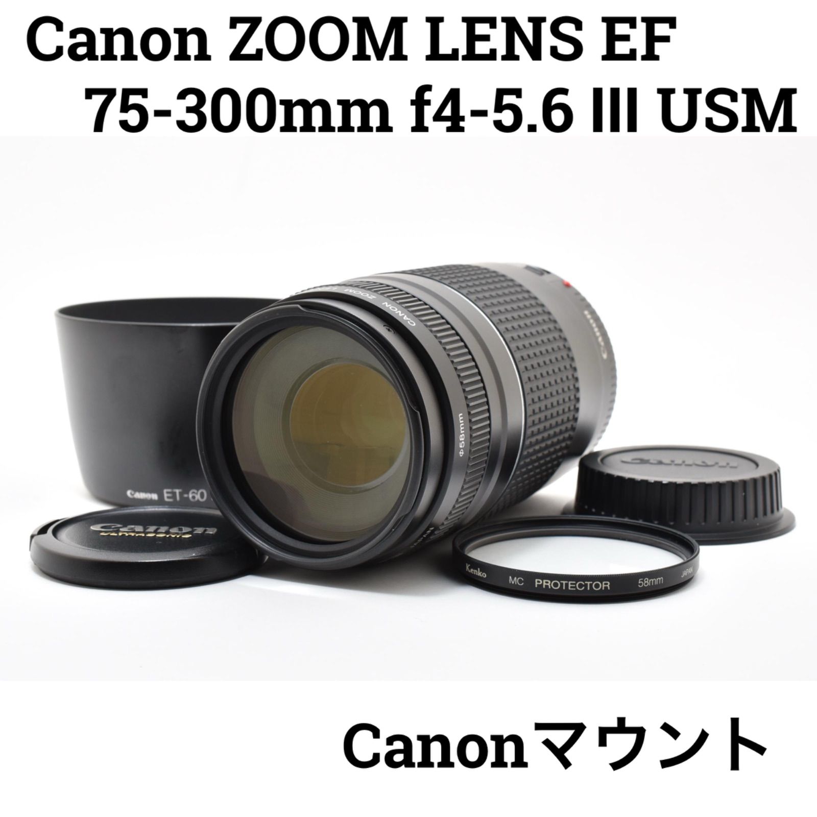 キヤノン Canon ZOOM LENS EF 75-300mm f4-5.6 Ⅲ USM Canonマウント