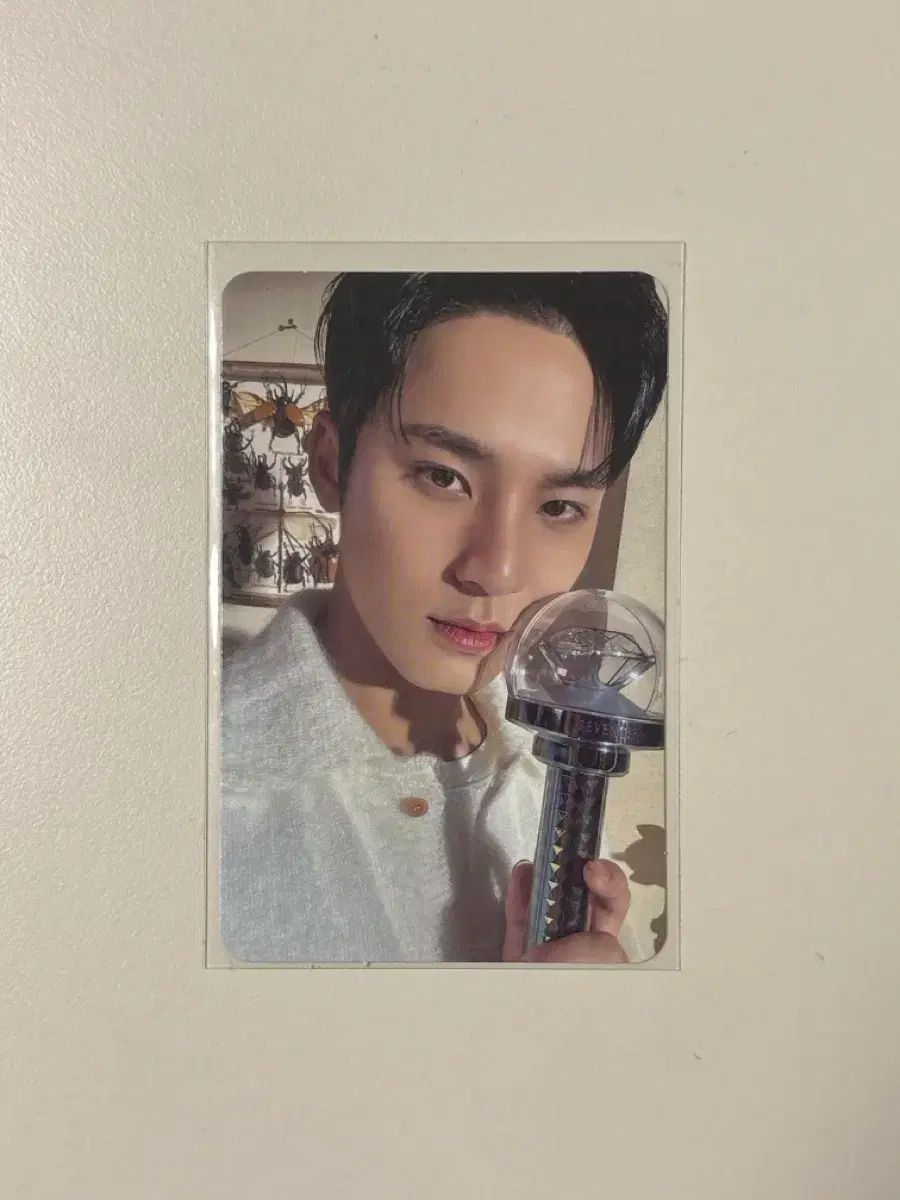 SEVENTEEN(セブンティーン・セブチ) ミンギュ(MINGYU) CARAT ZONE