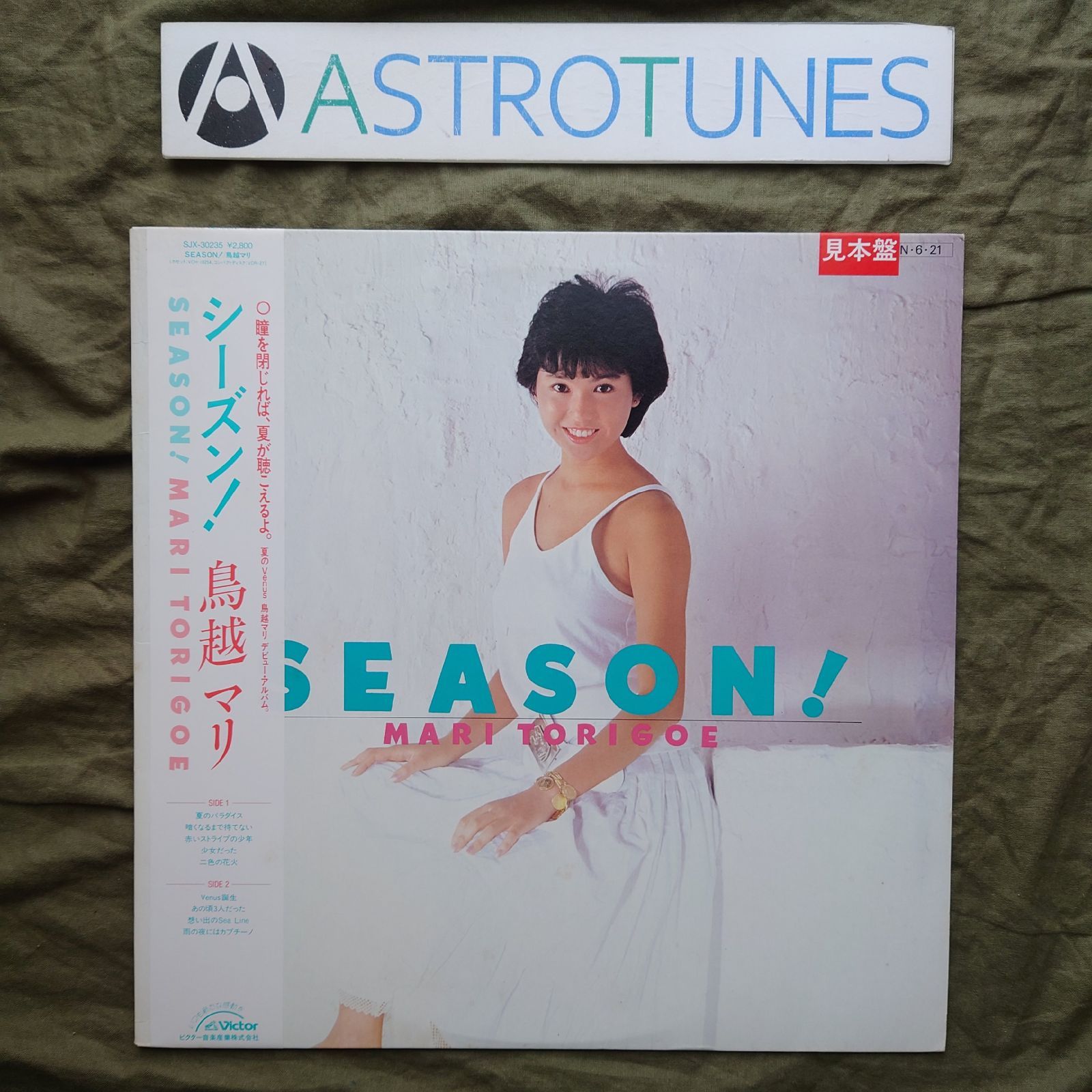 瑞紗マリエのレコード「鳩よ ARE YOU PIGEON?」 Stream The Girl You Left Behind by Jojo Moyes, read by Clare