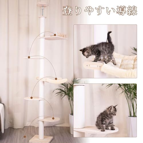 Meowtopia キャットタワー 木製 猫タワー 突っ張り スリム 小型 中型 大型猫用 キャット タワー ウォーク 猫 日本語マニュアル 高さ調節 218-282 cm 多層プラットフォーム 麻縄巻き支柱 d 5541 a 06