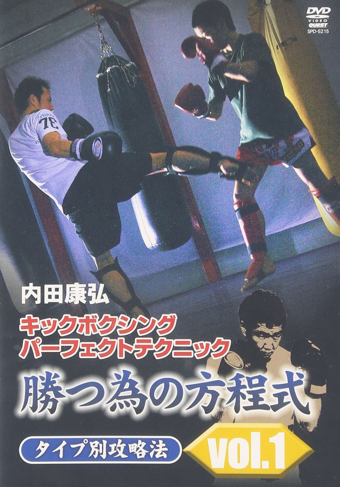 内田康弘 キックボクシングパーフェクトテクニック 勝つ為の方程式 タイプ 品