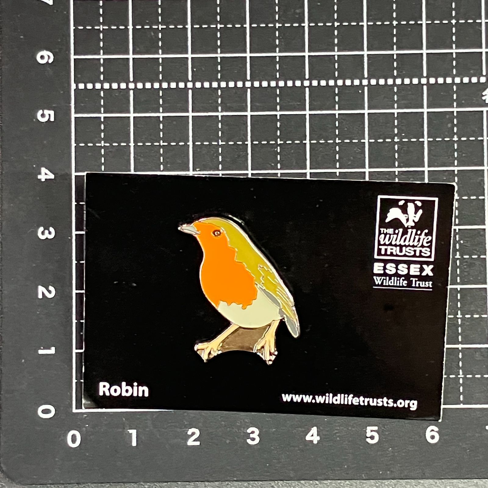 英国 ブリティシュ ワイルドライフ 『 コマドリ （ロビン