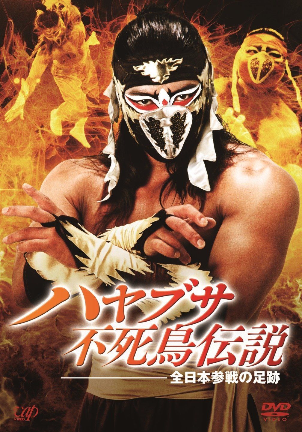 ハヤブサ不死鳥伝説 全日本参戦の足跡 DVD 品