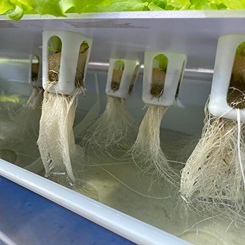 迅速に発送 水耕栽培システム 10穴 水耕栽培キット 水耕栽培植物用 水耕栽培野菜 果物 ハーブ 花など 屋内 屋外用 無土壌栽培植栽ボックス ポンプ付き 上層4 L 下層7 7 d 87410 b