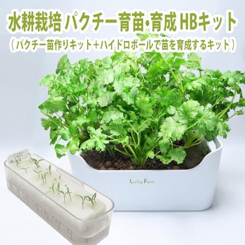  迅速に発送 パクチー 水耕栽培 ハイドロボール 育苗 育成HBキット 土不要 簡単 ハイドロトン でパクチーの苗を育成するキット LHS-093 01594 c 57 その他 キッチン 食器