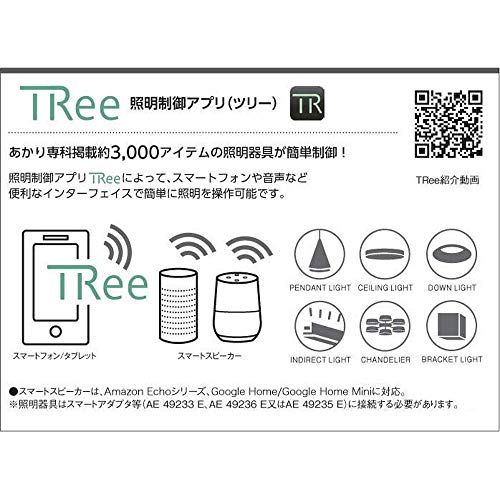  迅速に発送 コイズミ照明 勝手口灯 直付 壁付取付 FL 20 W相当 d 528 c 7 a その他 キッチン 食器