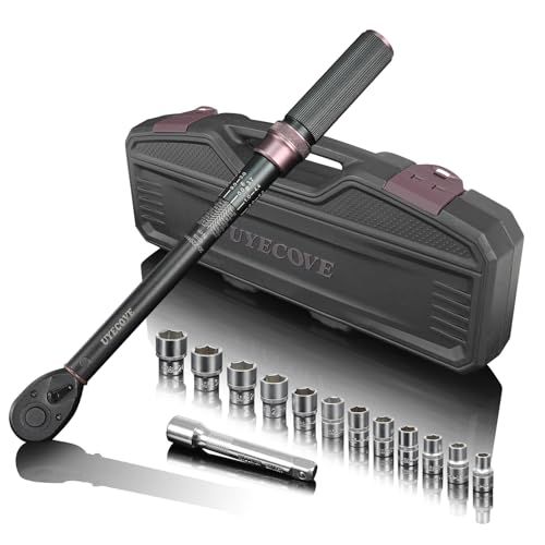 トルクレンチセット 車 タイヤ交換 プレセット型 差込角12.7 mm 1|2インチ 20-220 N.m 14点組 バイク 自動車 エンジン 機械の整備 高精度 ±3％ 見やすいダブル目盛り 左右回転 短い 72ギア 5°送り 29 c 72 f 5