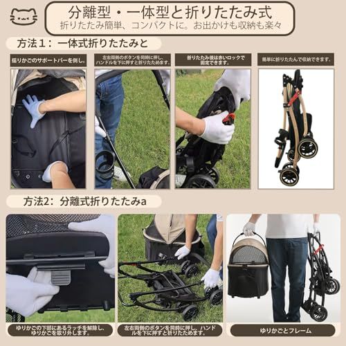 多頭の小型犬-猫