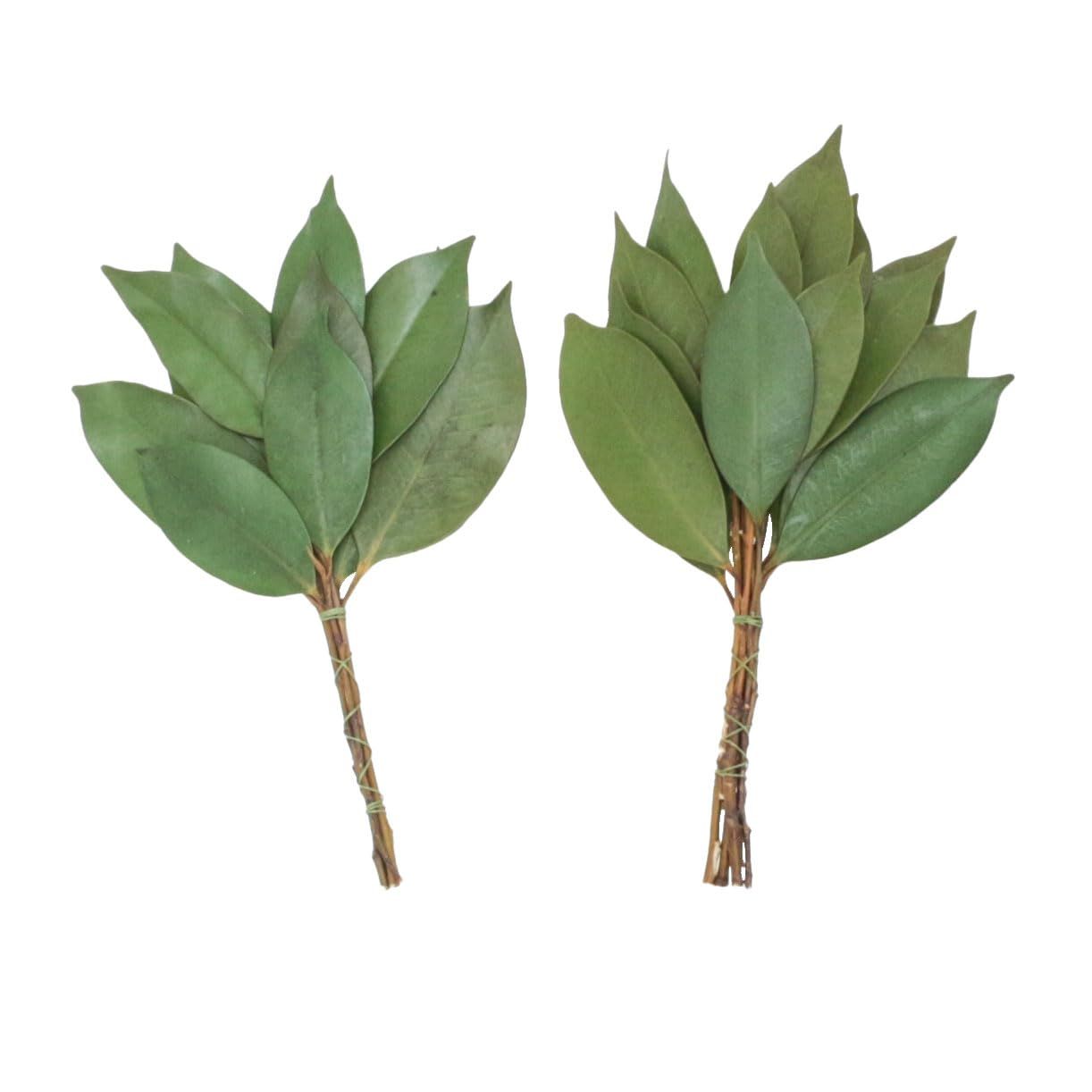 神棚の里 神棚 榊 神饌 お供え プリザーブド榊 ミニ 1対 小さめ モダン 長持ち 交換 さかき 神社