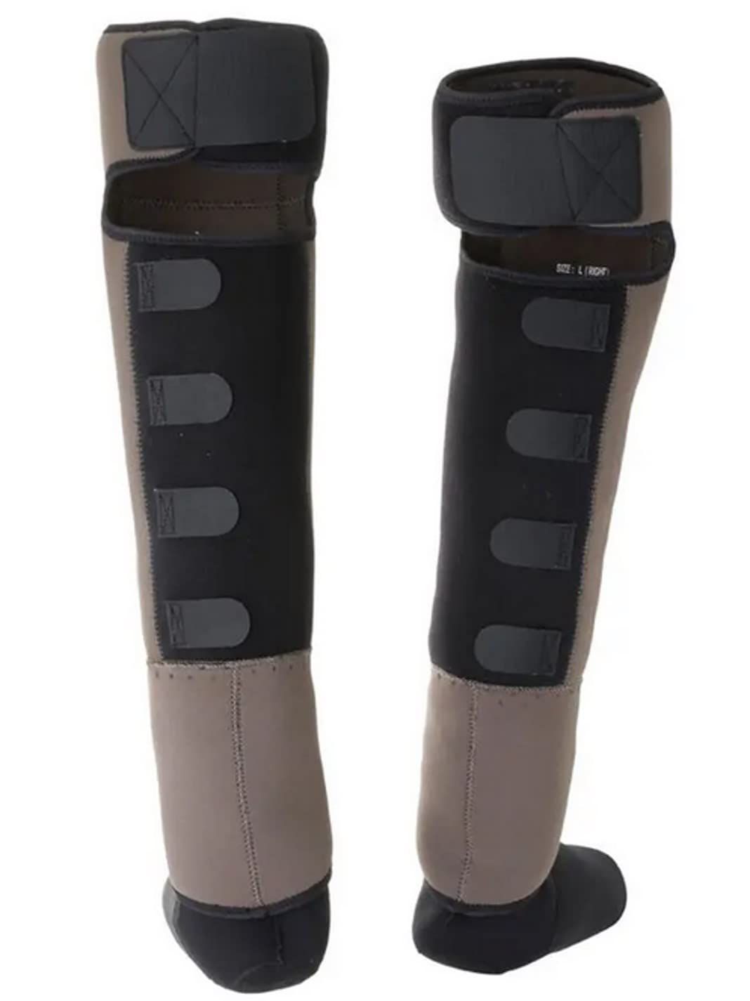 リトルプレゼンツ LITTLE ウエットゲーター AC 10 タン S