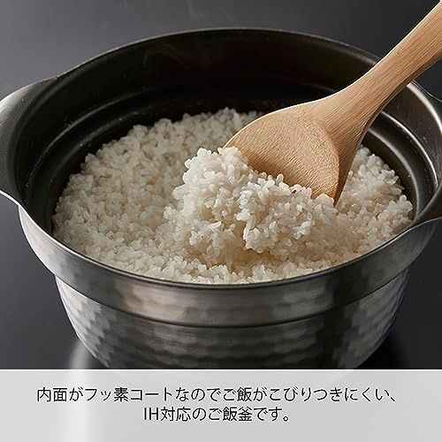 HARIO ハリオ ご飯釜 雪平 IH対応 1~3合用 シルバー プレゼント ギフト 贈り物 GIS-200 c 1 9 bcb 6