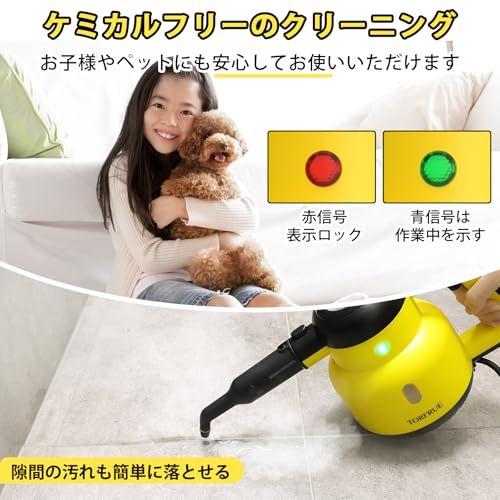 自動車 用スチームクリーニン