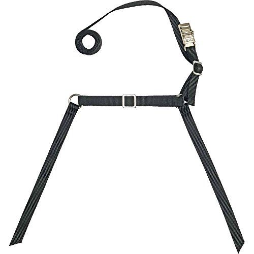  oxtos オクトス アルミわかん用ベルトセット oxtos用 OX 052 アウトドアライト トレッキングポール アイゼン アバランチギア