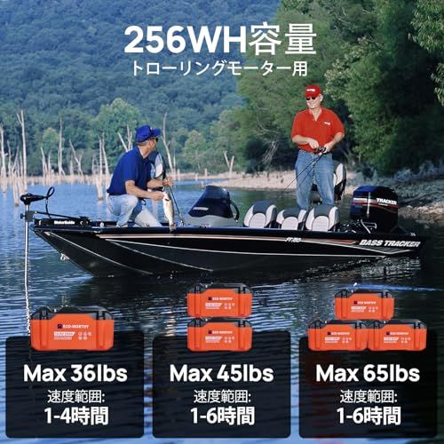 サイクル 内蔵BMS