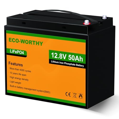 迅速に発送 ECO WORTHY 12 V 50 AH リチウムイオンバッテリー 低温運行 4000回 BMS保護 640 Wh lifepo 4バッテリー 軽量 トローリングモーター エレキモーター 防災対策 ソーラー蓄電 PSE認証取得 d 1 cb 09 ba